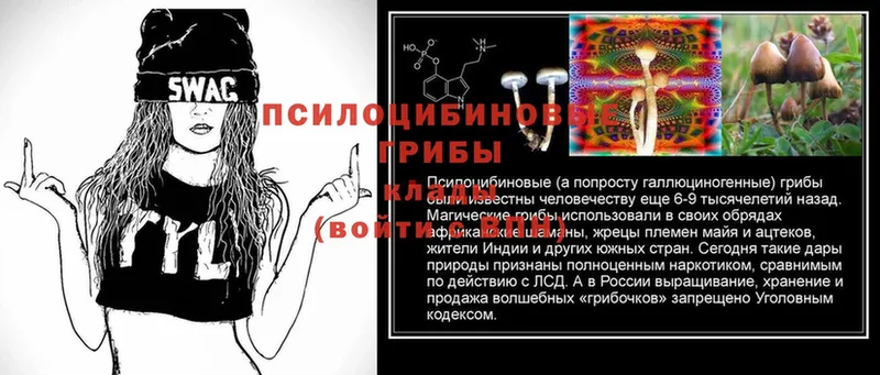 Галлюциногенные грибы Psilocybe  Уфа 